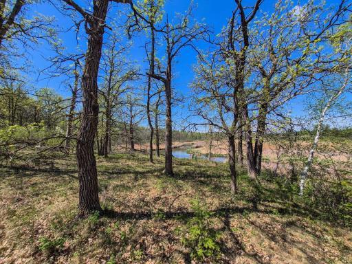 TBD County 152, Park Rapids, MN 56470