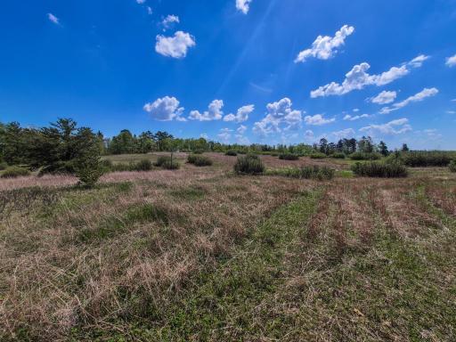 TBD County 152, Park Rapids, MN 56470