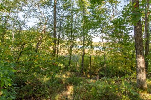 3007 Thoroughfare Drive, Cushing, MN 56443