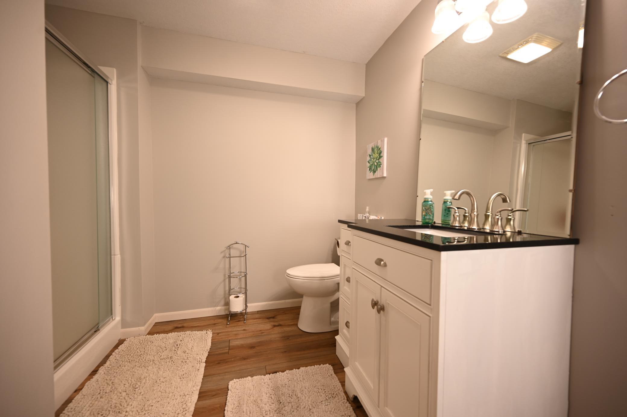 Lower level bathroom