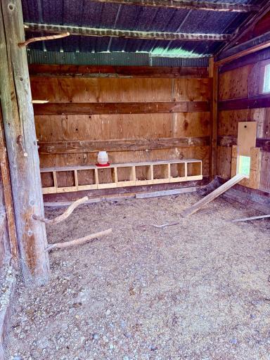 Laying boxes inside coop- never buyer eggs again!