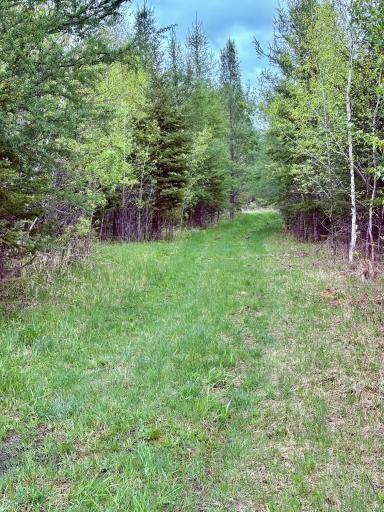 1622 82nd Avenue NW, Williams, MN 56686