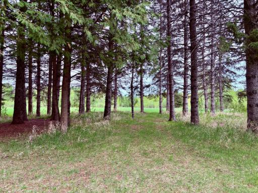 1622 82nd Avenue NW, Williams, MN 56686