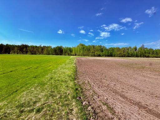 1622 82nd Avenue NW, Williams, MN 56686