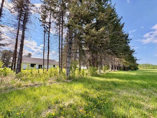 1622 82nd Avenue NW, Williams, MN 56686