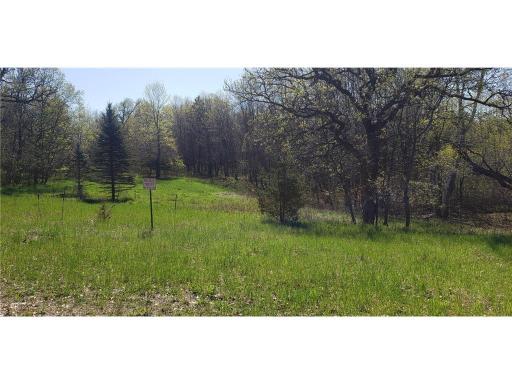 TBD 174th Street NW, Big Lake, MN 55309