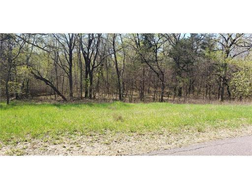 TBD 174th Street NW, Big Lake, MN 55309