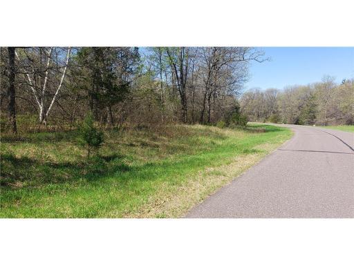 TBD 174th Street NW, Big Lake, MN 55309