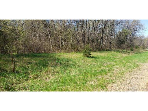 TBD 174th Street NW, Big Lake, MN 55309
