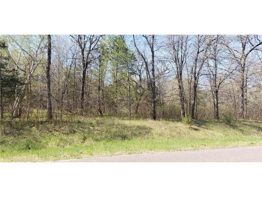 TBD 174th Street NW, Big Lake, MN 55309