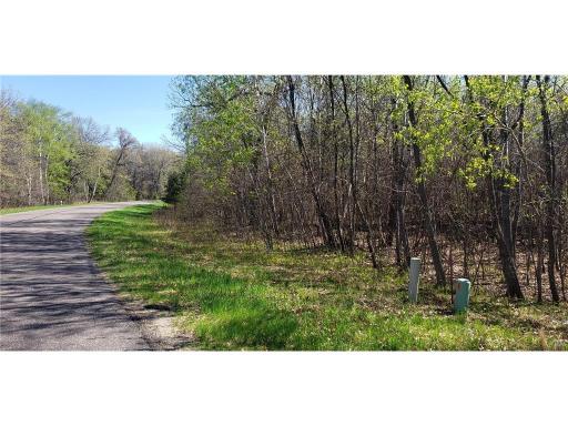 TBD 174th Street NW, Big Lake, MN 55309