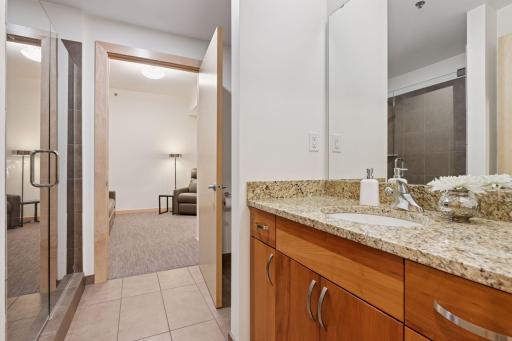 215 10th Avenue S, 723, Minneapolis, MN 55415