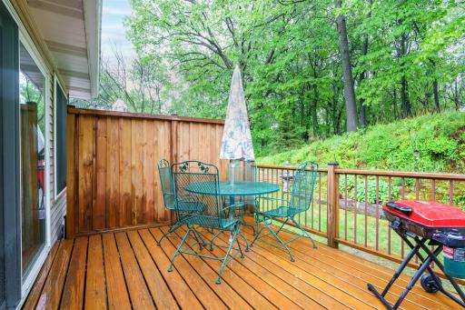532 Sterling Street S, Saint Paul, MN 55119
