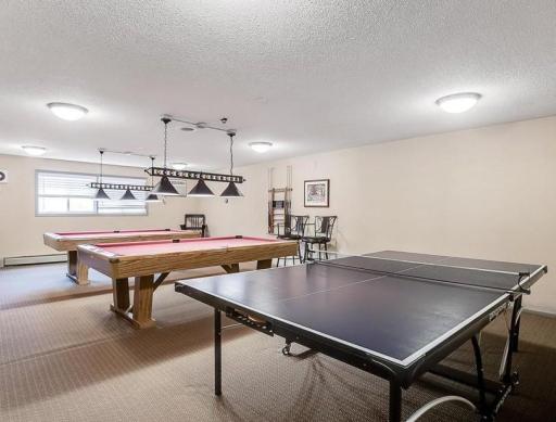 1601 N Innsbruck Drive, 319, Fridley, MN 55432
