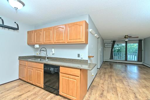 1601 N Innsbruck Drive, 319, Fridley, MN 55432