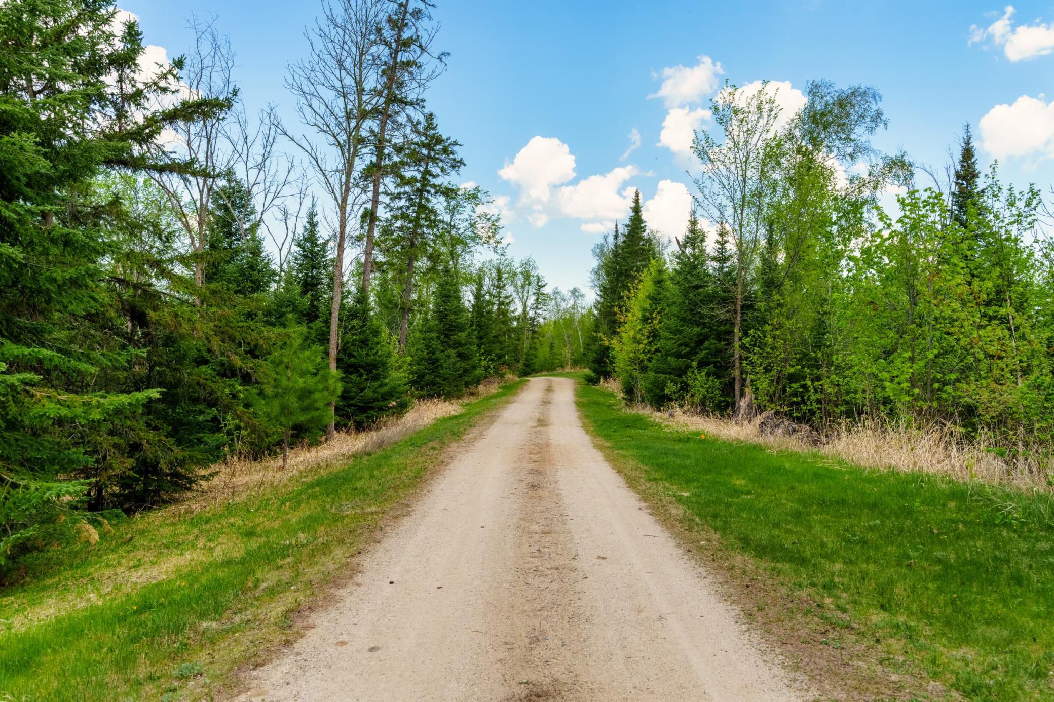 Driveway.jpeg