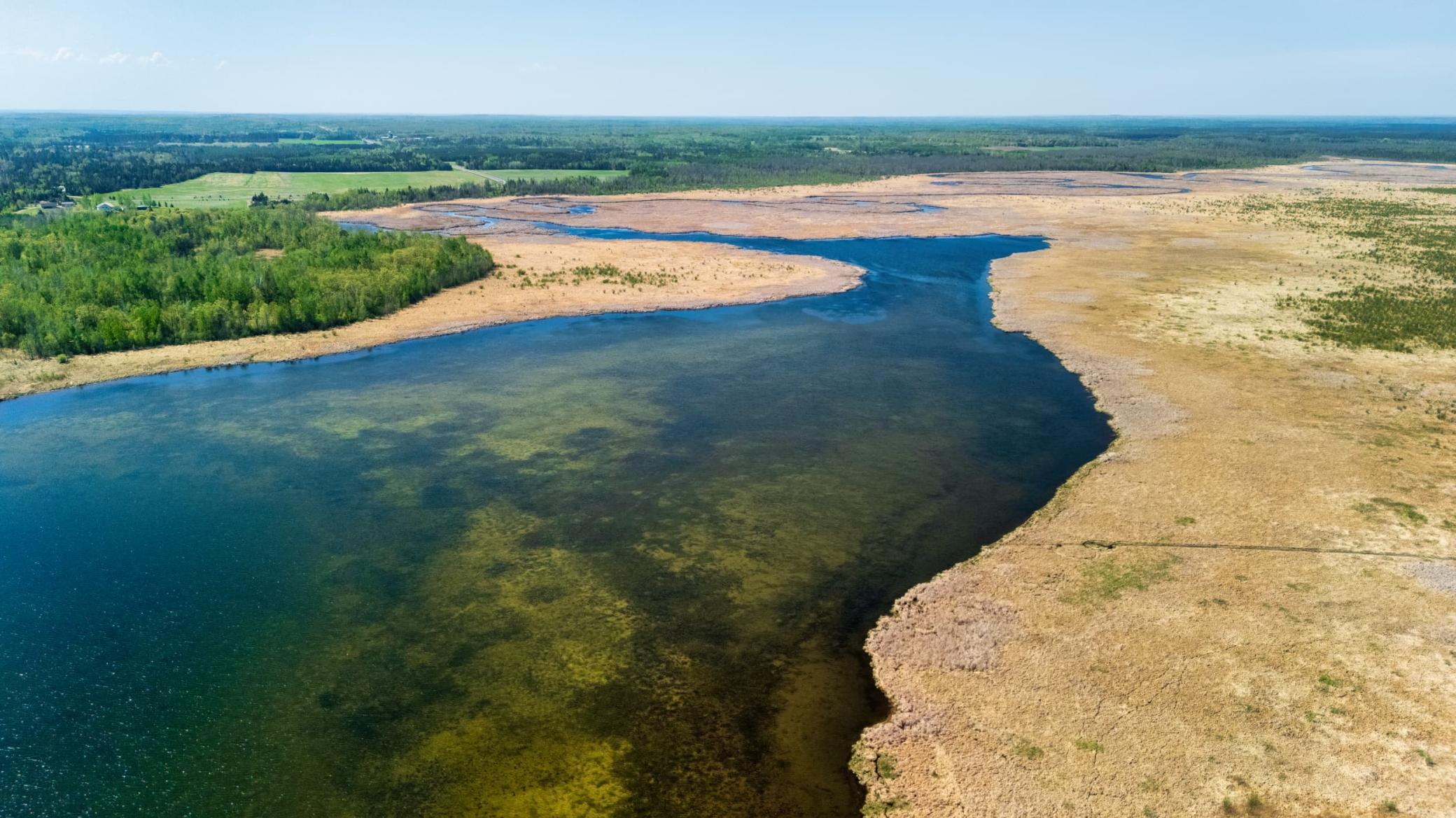 Mississippi River.jpeg