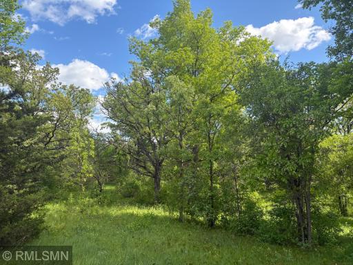 19XXX County Road 145, Clearwater, MN 55320