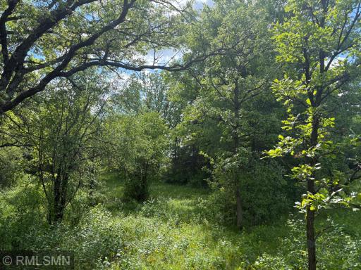 19XXX County Road 145, Clearwater, MN 55320