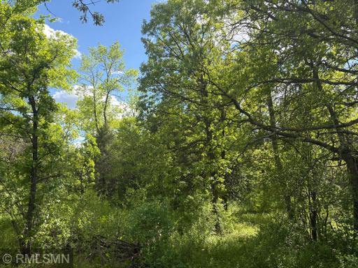 19XXX County Road 145, Clearwater, MN 55320