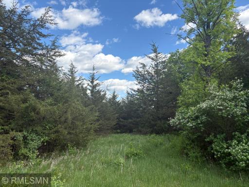 Clearing of trees will be needed to create your building area.