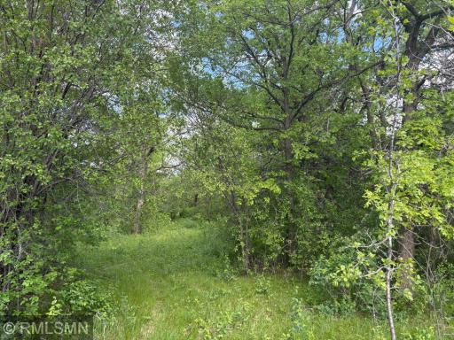 19XXX County Road 145, Clearwater, MN 55320