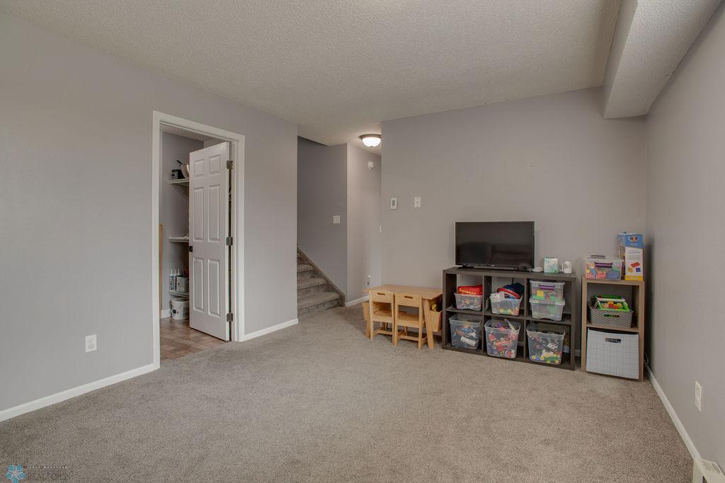 Lower level living room