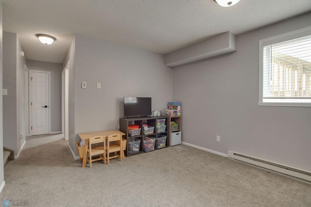 Lower level living room