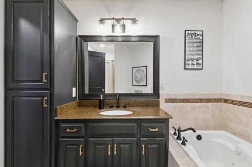 1576 Niagara Street, Waconia, MN 55387