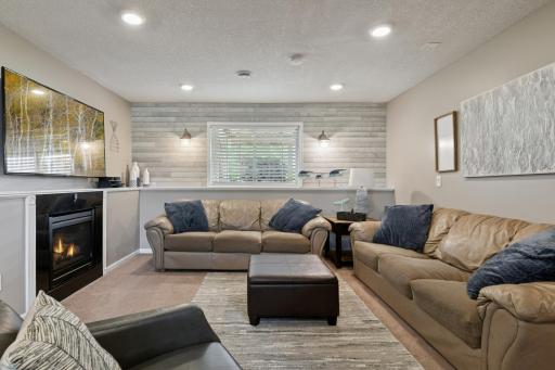 1576 Niagara Street, Waconia, MN 55387