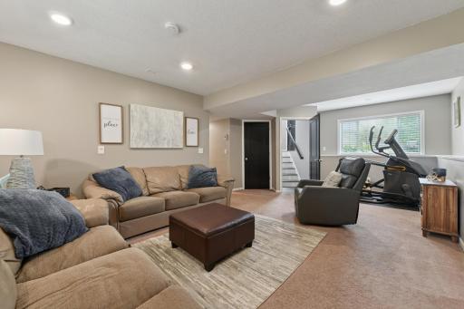 1576 Niagara Street, Waconia, MN 55387