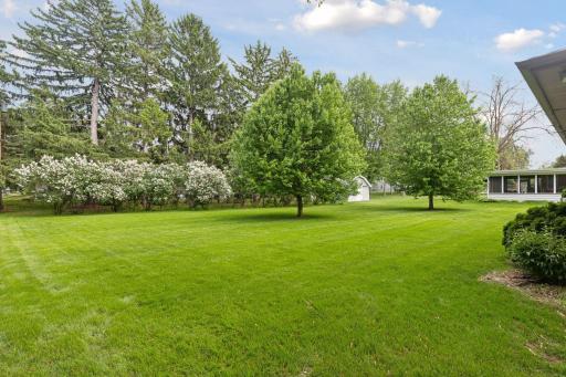 Large flat backyard. Lot is almost a half acre at .40 acres