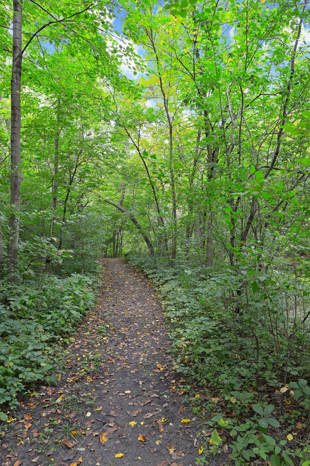 Nine Mile Creek Walking path
