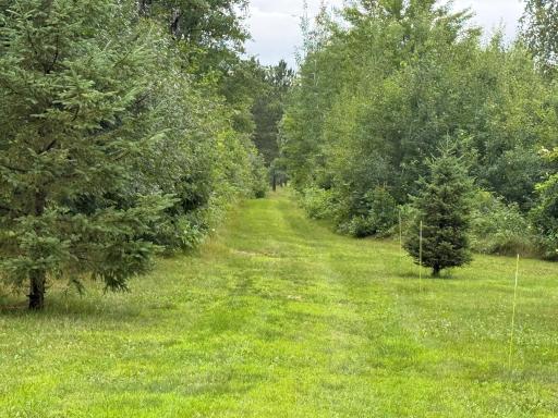 11.5 Acre Lot Nagel Road, Pequot Lakes, MN 56472
