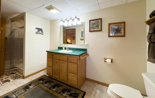 1880 Everett Road S, Tower, MN 55790