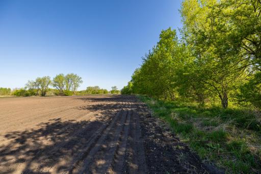 Parcel A 24AC 465th Street, Harris, MN 55032