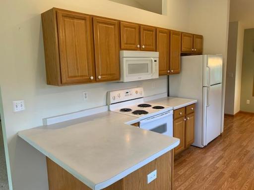 1539 Carleton Drive, Hastings, MN 55033