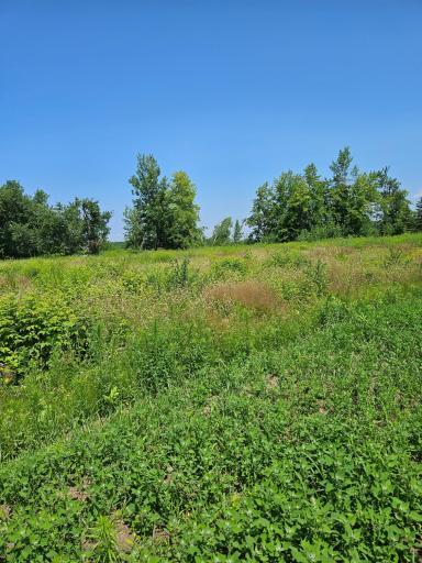 tbd Hooper Creek Loop, Baudette, MN 56623