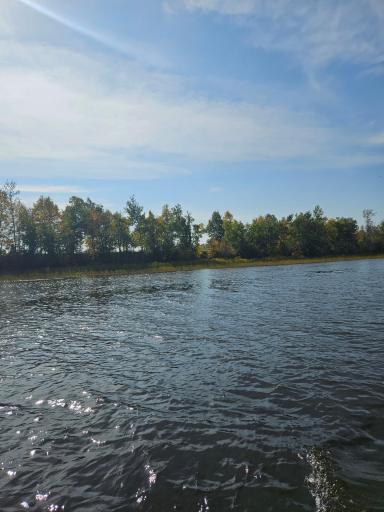 Photo for tbd Hooper Creek Loop, Baudette, MN 56623 - Listing #6725819 tbd Hooper Creek Loop, Baudette, MN 56623