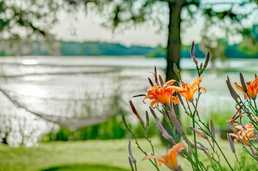 1104 Meadowlark Drive, Stillwater, MN 55082