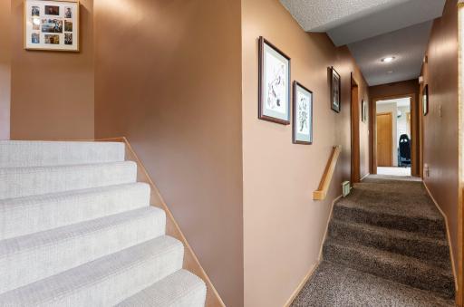 8705 Chester Avenue, Northfield, MN 55057