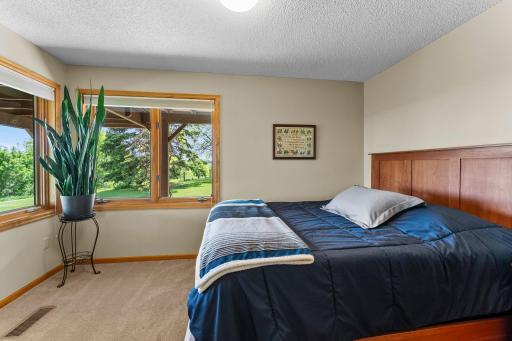 Bedroom 4 on lower level also has corner windows, overhead lighting and closet.