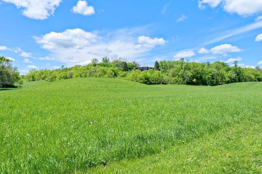 Nice view of the Home in the distance while in the first Meadow Land.