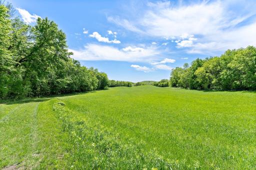 Lovely Level Meadow Lands with Tree Lined Borders, this land could support Horses or other Large Animals.