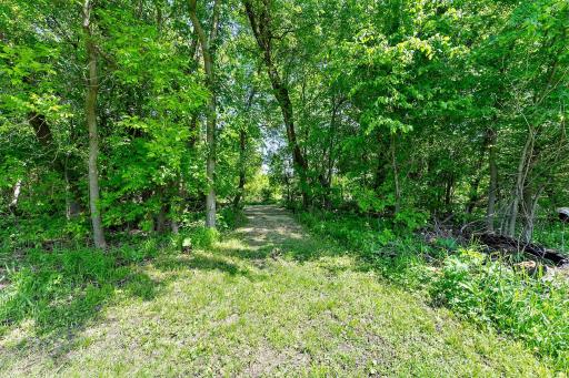 A view of the Trails around the property. 3 Miles of Trails which allow ATVs to take you all around the property.