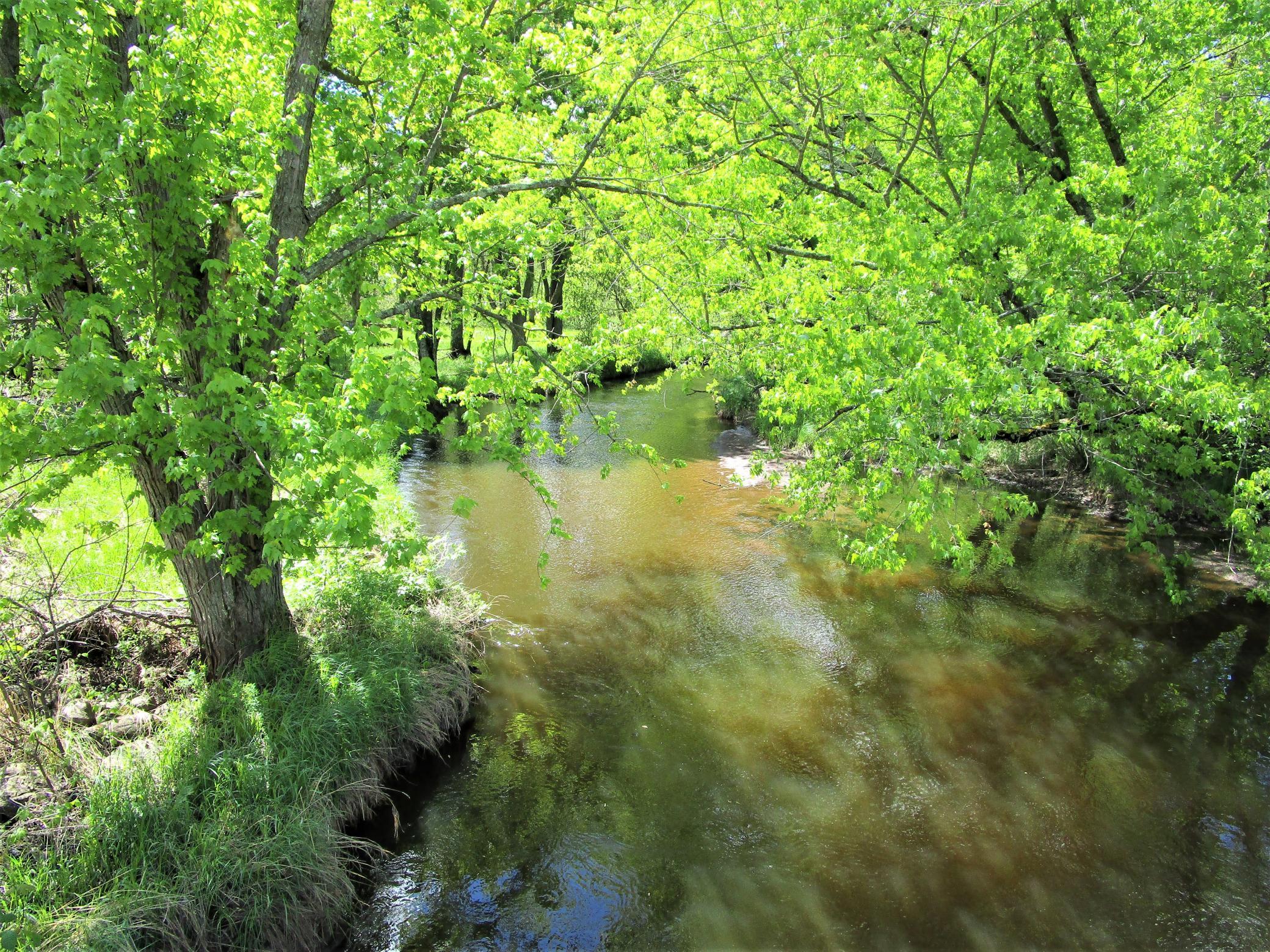 20 Acre Parcel With Clam River Running Through NE Corner