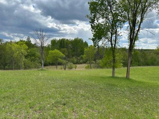 26722 Eisenmen Drive, Leonard, MN 56652