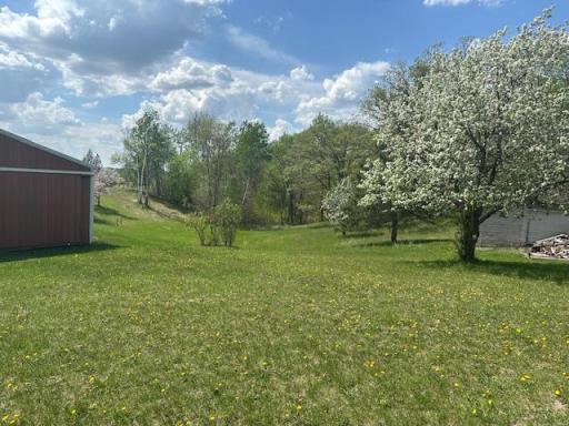 26722 Eisenmen Drive, Leonard, MN 56652