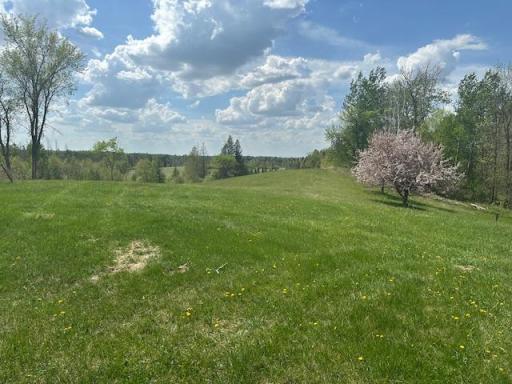 26722 Eisenmen Drive, Leonard, MN 56652