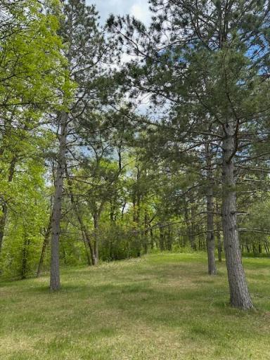 26722 Eisenmen Drive, Leonard, MN 56652